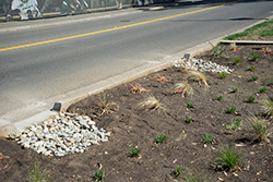 College Town Drive subsurface materials