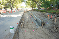 Jed Smith Drive curbs poured