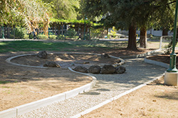 Library Green plants established